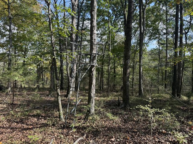 0 Luke Moser Rd, Columbia, TN 38401