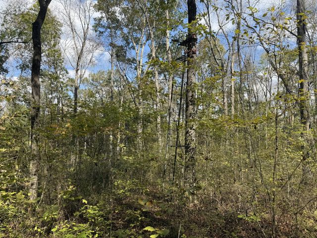 0 Luke Moser Rd, Columbia, TN 38401