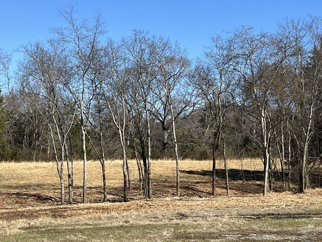 0 Northcutt Rd, Milton, TN 37118