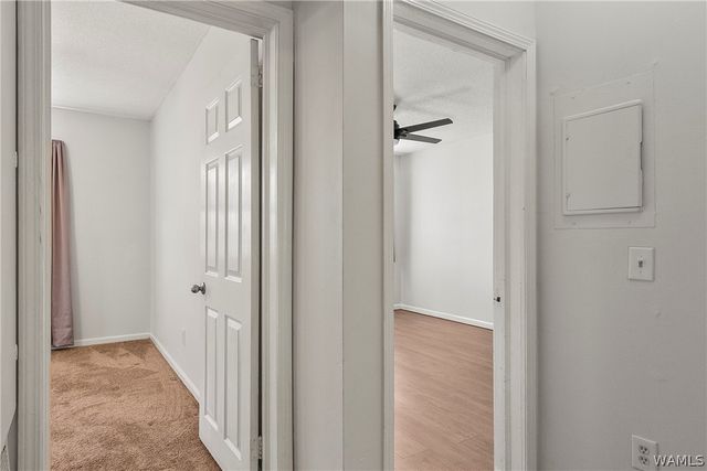 901 Hargrove 13C, Tuscaloosa, AL 35401