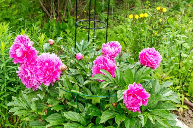 43 Old Duck Hole Road, Orleans, MA 02653