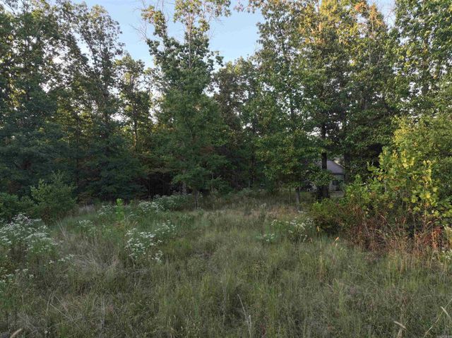 4.05 Acres Beaver Hollow Road, Garfield, AR 72732