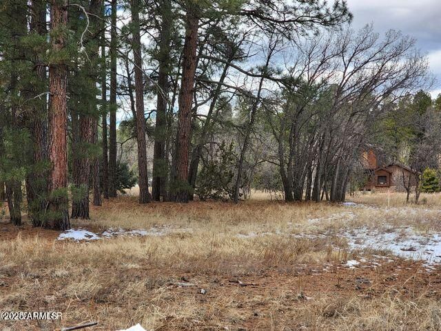 2540 W Pinegrass Road, Show Low, AZ 85901