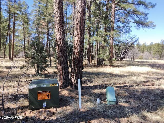 2540 W Pinegrass Road, Show Low, AZ 85901