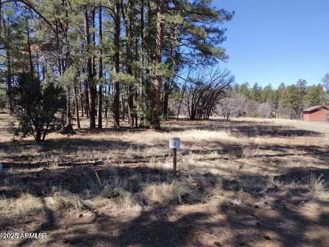 2540 W Pinegrass Road, Show Low, AZ 85901