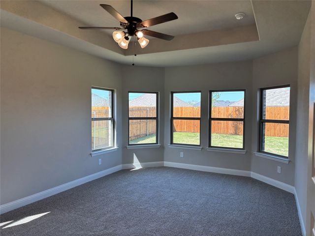 302 Mercer Drive, Josephine, TX 75173