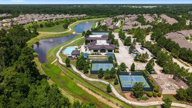 156 Wild Wick Way, The Woodlands, TX 77382