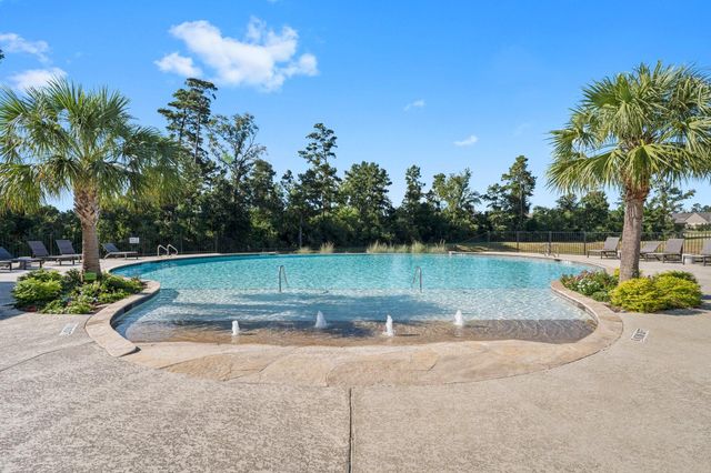 156 Wild Wick Way, The Woodlands, TX 77382