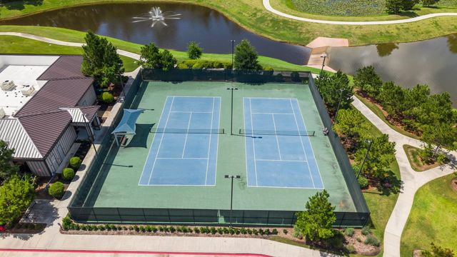 156 Wild Wick Way, The Woodlands, TX 77382
