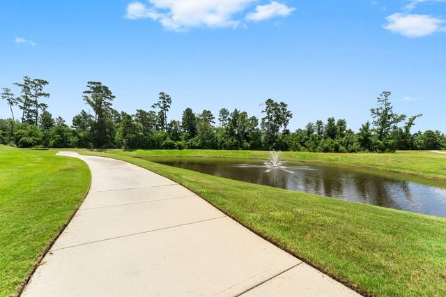 156 Wild Wick Way, The Woodlands, TX 77382