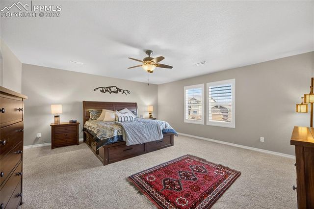 13138 Diamond Edge Way, Colorado Springs, CO 80921