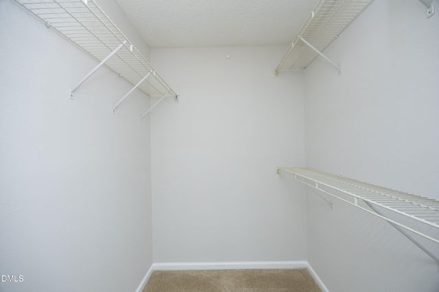 7717 Falcon Rest Circle, Raleigh, NC 27615