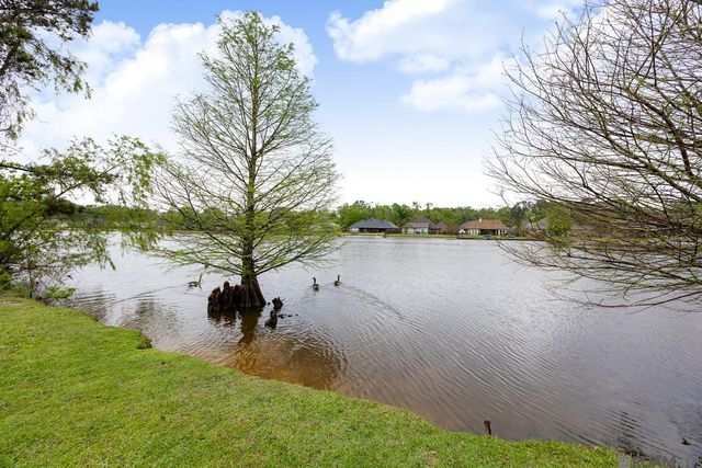 12485 Timberwood Dr, Walker, LA 70785