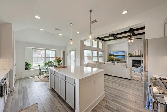 548 Elm Green ST, Hutto, TX 78634
