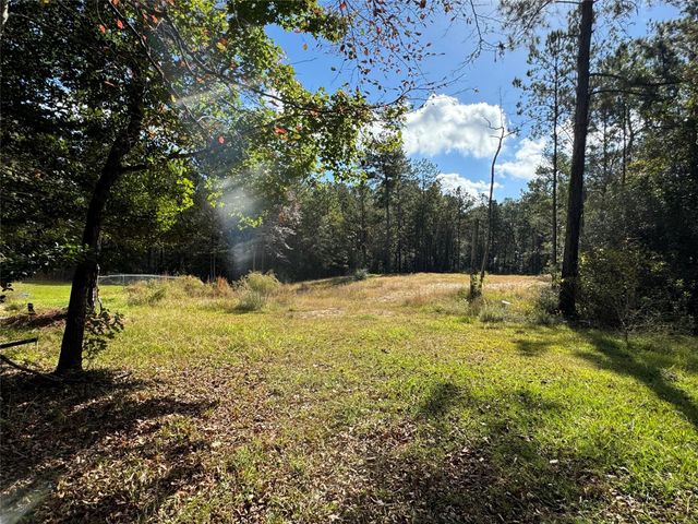 645 Deer Park Drive, Brookeland, TX 75931