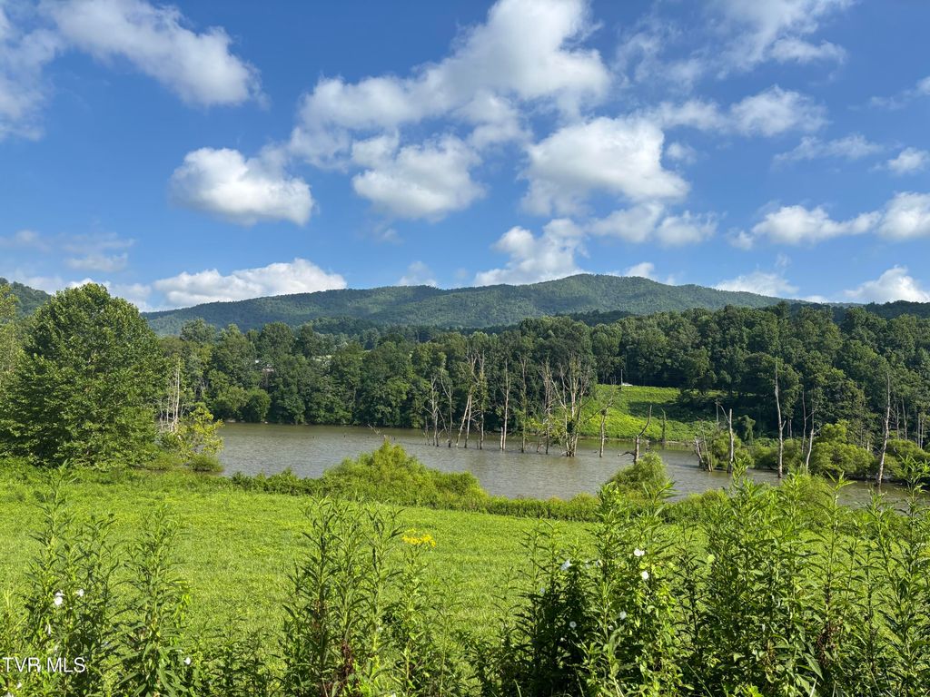Tbd Roan Creek Road, Butler, TN 37640