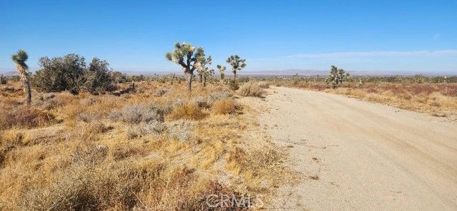 0 Silver Rock Road, Pinon Hills, CA 92372