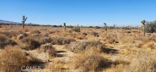 0 Silver Rock Road, Pinon Hills, CA 92372