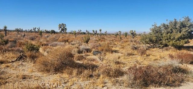 0 Silver Rock Road, Pinon Hills, CA 92372