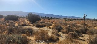 0 Silver Rock Road, Pinon Hills, CA 92372