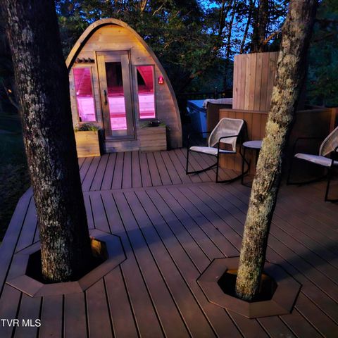 266 Mark Street, Gate City, VA 24251