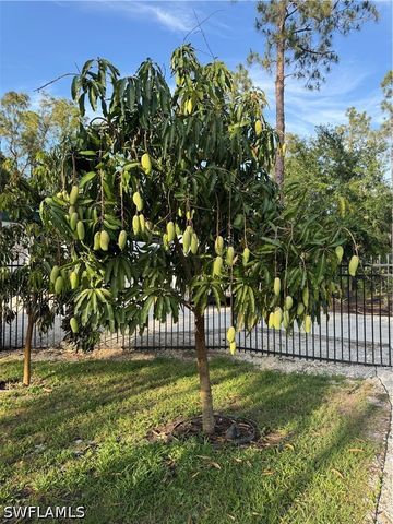 3159 6th AVE SE, Naples, FL 34117