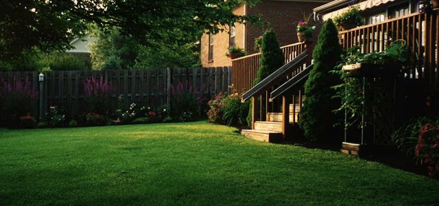 1205 Glen Crest, Lexington, KY 40502