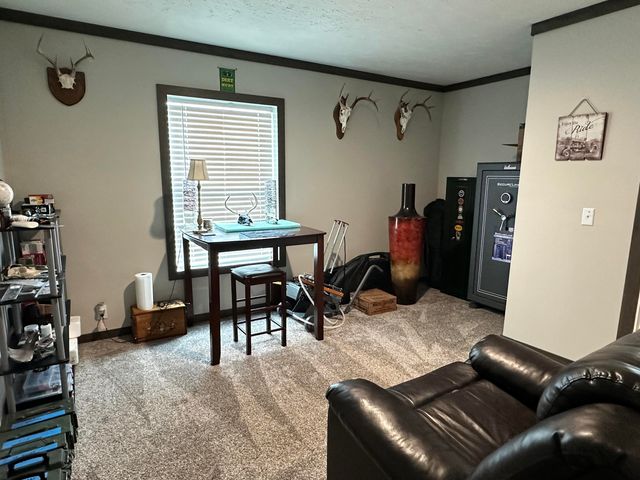 213 Trace Creek Trail, Mammoth Spring, AR 72554