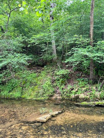 213 Trace Creek Trail, Mammoth Spring, AR 72554