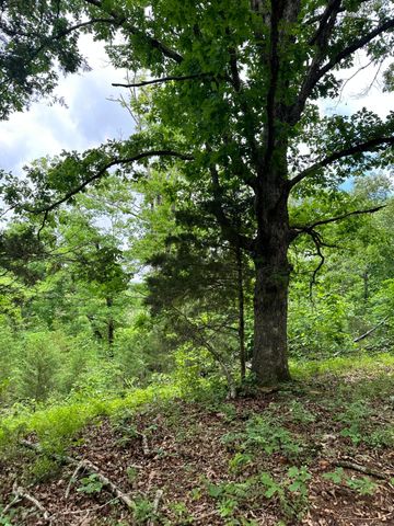 213 Trace Creek Trail, Mammoth Spring, AR 72554