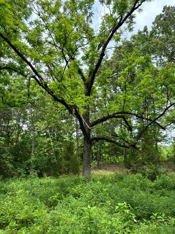 213 Trace Creek Trail, Mammoth Spring, AR 72554