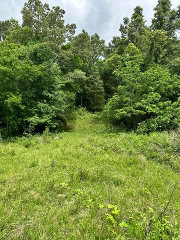 213 Trace Creek Trail, Mammoth Spring, AR 72554