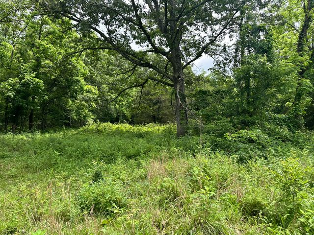 213 Trace Creek Trail, Mammoth Spring, AR 72554