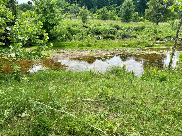 213 Trace Creek Trail, Mammoth Spring, AR 72554