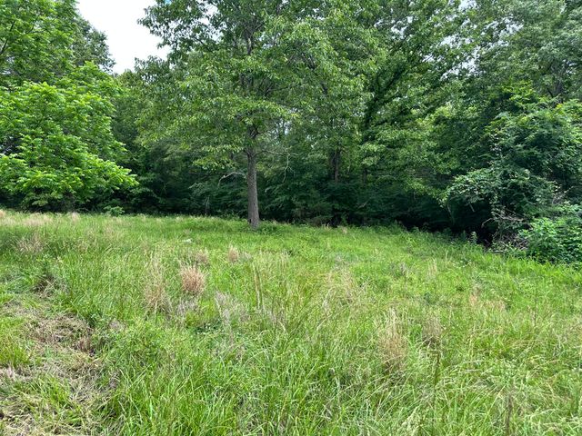 213 Trace Creek Trail, Mammoth Spring, AR 72554