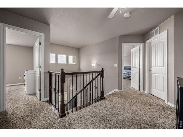 4689 Waltham Dr, Windsor, CO 80550