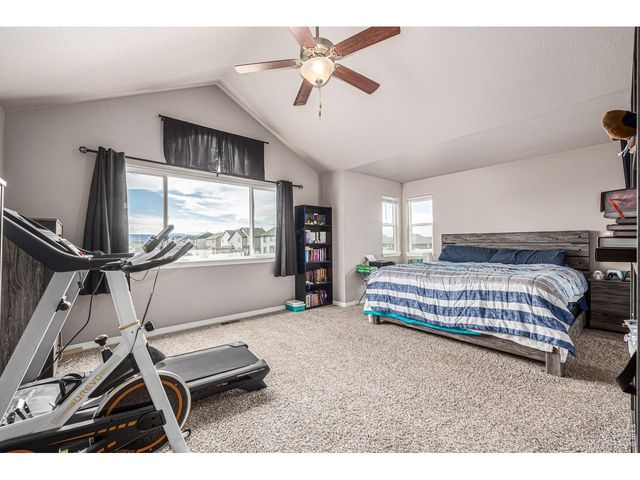 4689 Waltham Dr, Windsor, CO 80550