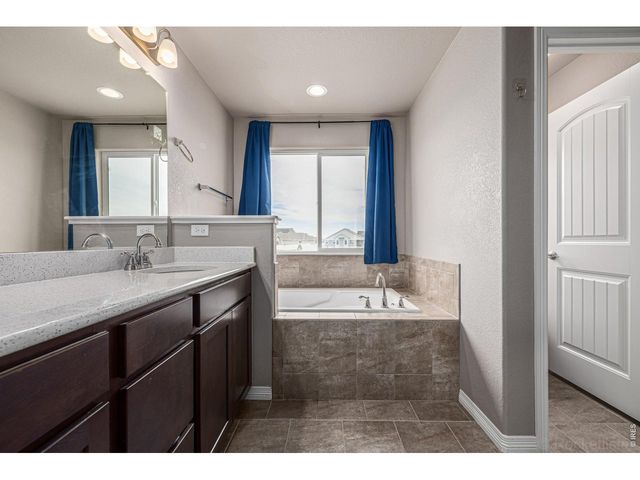 4689 Waltham Dr, Windsor, CO 80550