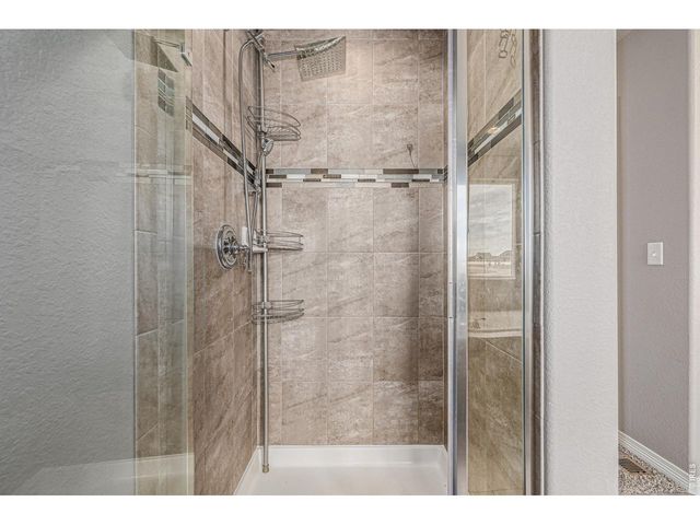 4689 Waltham Dr, Windsor, CO 80550