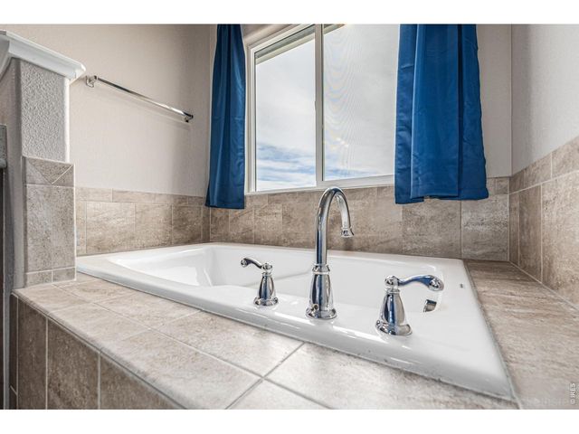 4689 Waltham Dr, Windsor, CO 80550