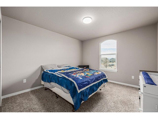4689 Waltham Dr, Windsor, CO 80550