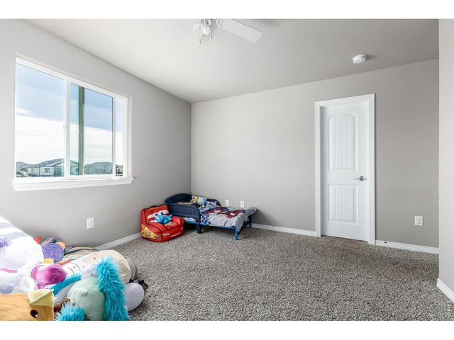 4689 Waltham Dr, Windsor, CO 80550