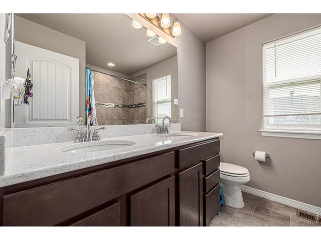 4689 Waltham Dr, Windsor, CO 80550