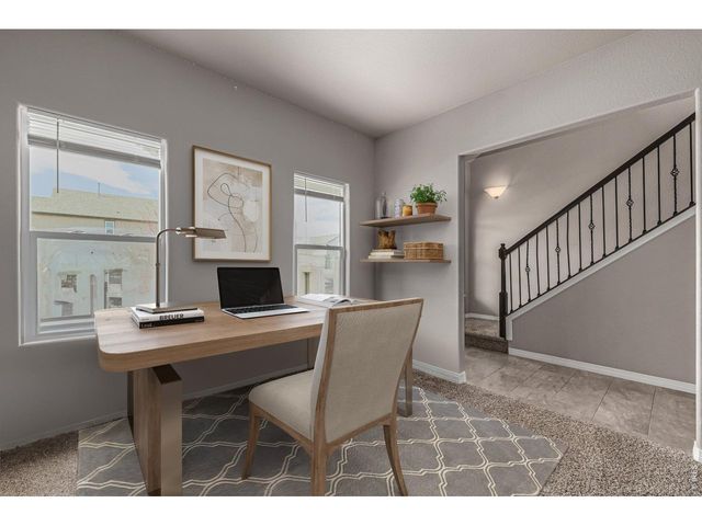 4689 Waltham Dr, Windsor, CO 80550