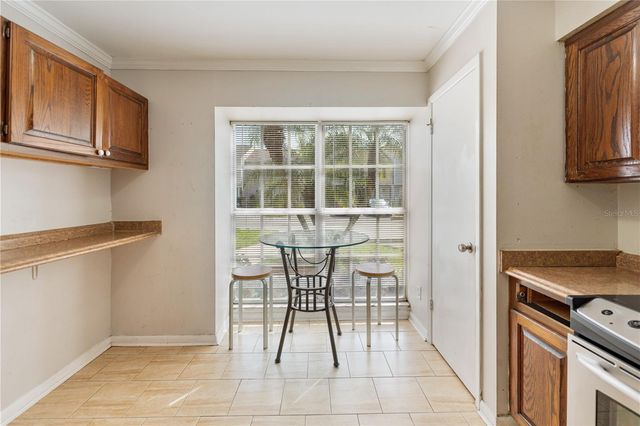 16110 RAMBLING VINE DRIVE W, Tampa, FL 33624