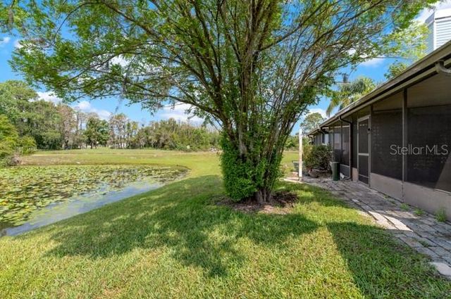 16110 RAMBLING VINE DRIVE W, Tampa, FL 33624