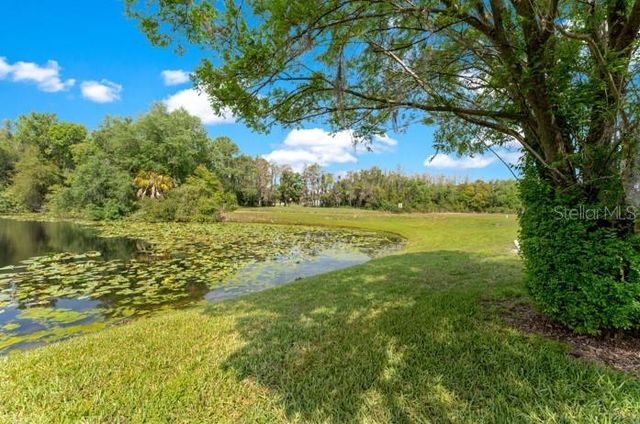 16110 RAMBLING VINE DRIVE W, Tampa, FL 33624