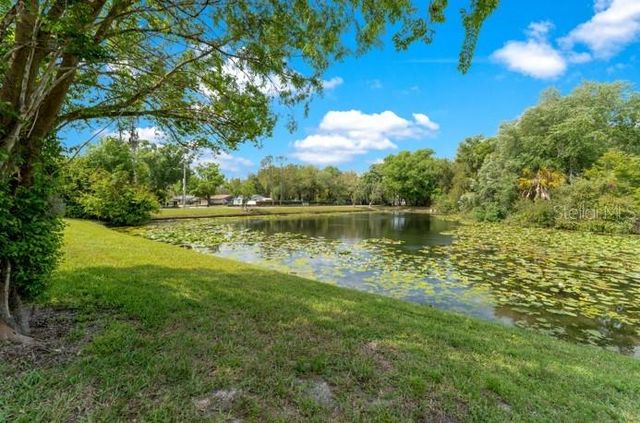 16110 RAMBLING VINE DRIVE W, Tampa, FL 33624