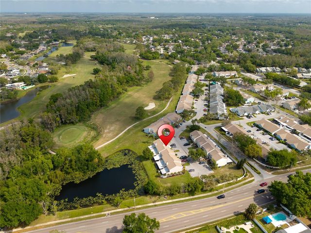 16110 RAMBLING VINE DRIVE W, Tampa, FL 33624