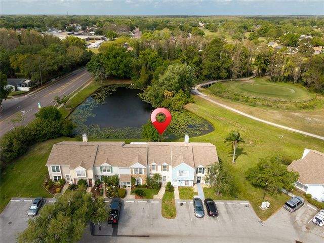 16110 RAMBLING VINE DRIVE W, Tampa, FL 33624